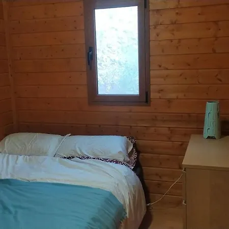 The Mountain House *
